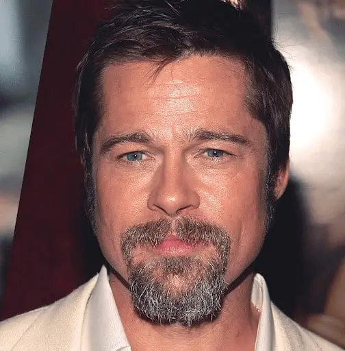 Brad Pitt Lock Beard Style with a little gray mixed in.