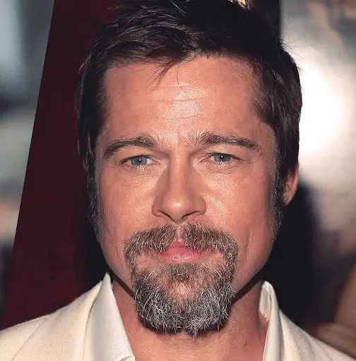 Brad Pitt Goatee