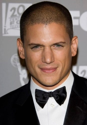 Wentworth Miller's Burr Buzz Cut