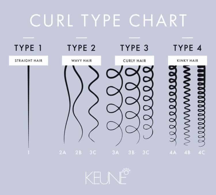 Curl Type Chart