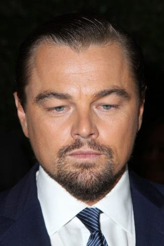 Leonardo DiCaprio Goatee Beard