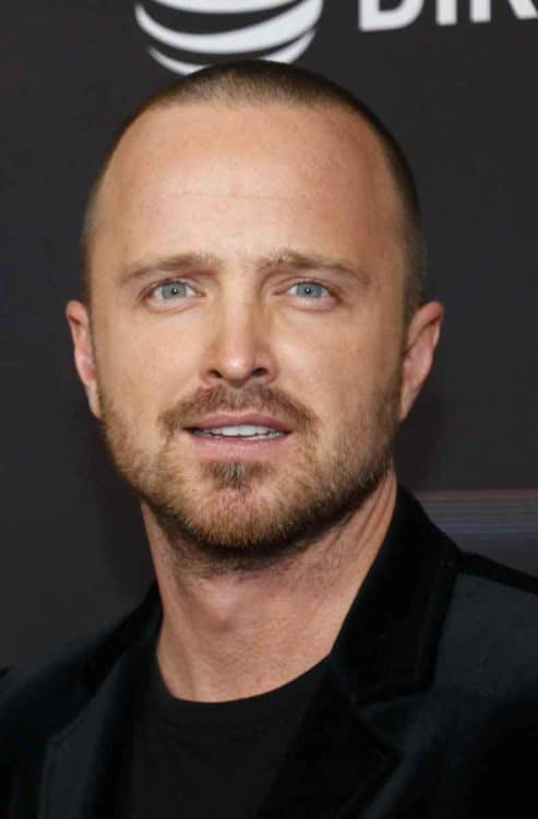 Aaron Paul Shaved Bald Haircut