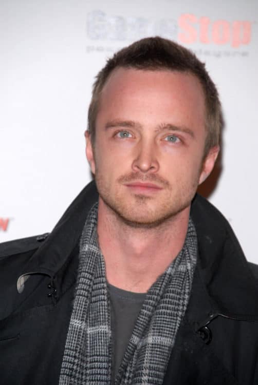 Aaron Paul with Hair