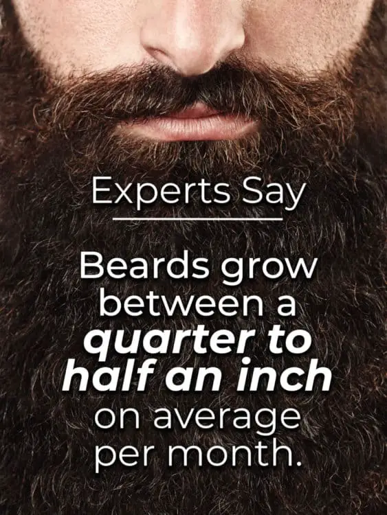How long does it take to grow a beard? Experts Say - Beards grow between a quarter to half an inch on average per month.