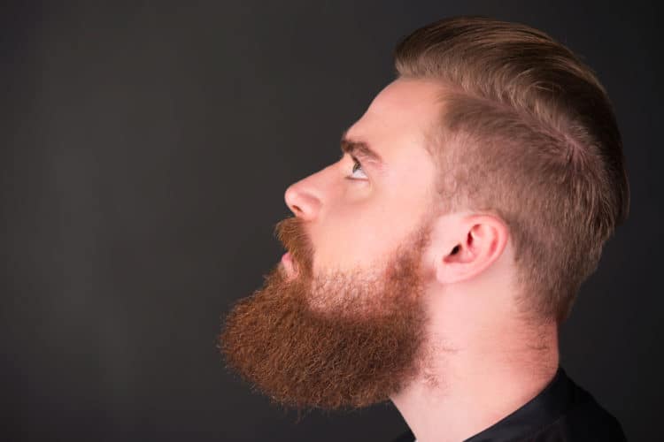 The Ginger Beard Style