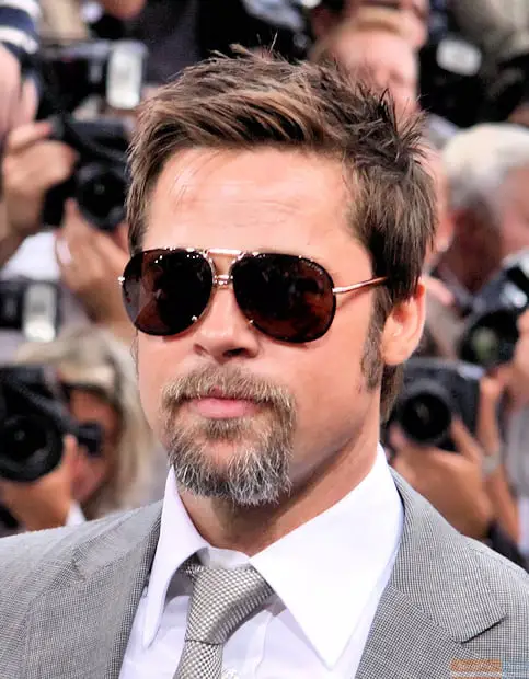 Brad Pitt sunglasses and goatee