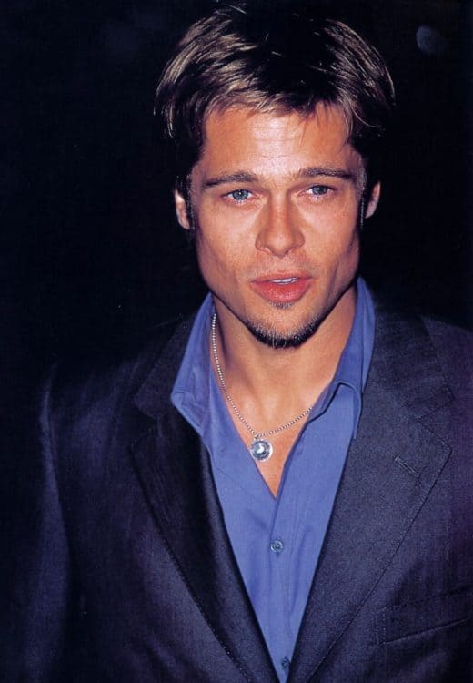 Brad Pitt Classic Stubble Goatee