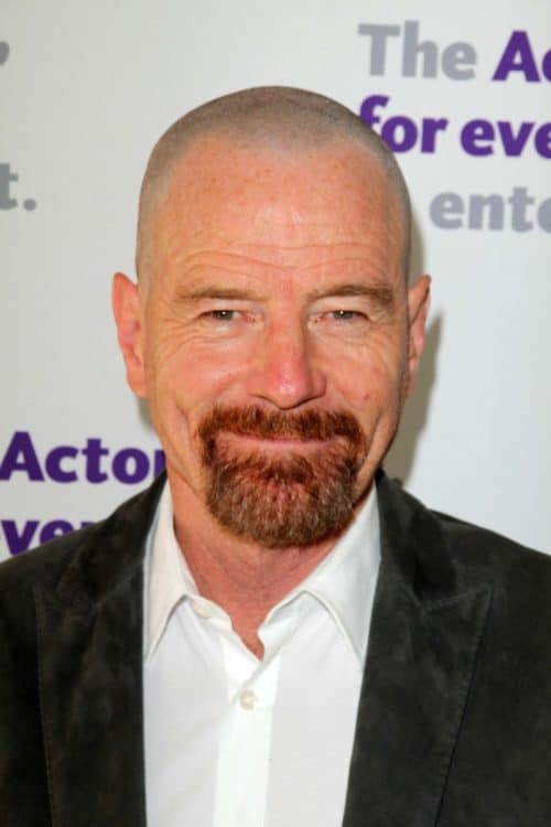 Bryan Cranston without Hair