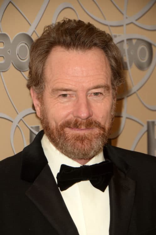 Bryan Cranston with Hair