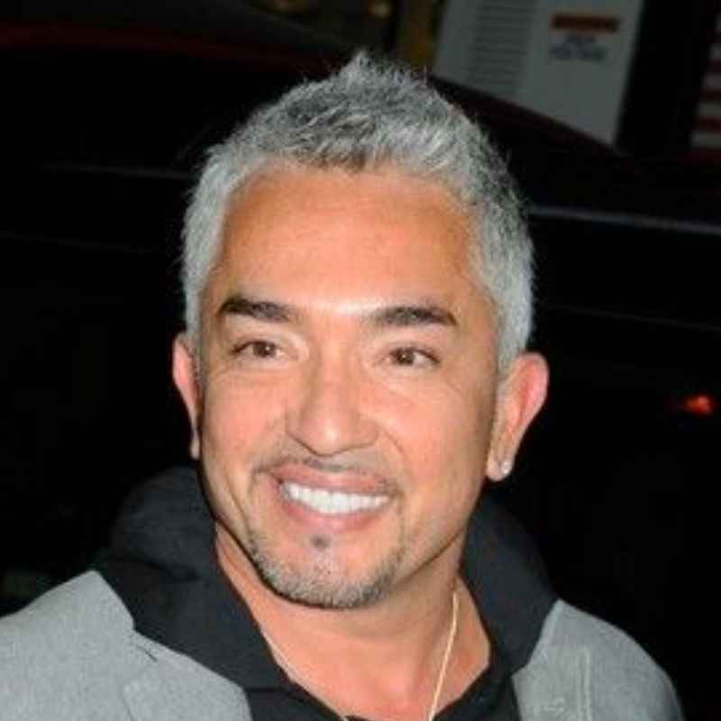 Cesar Millan Goatee