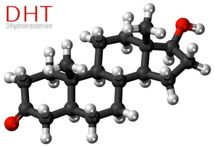 Saw palmetto can block DHT molecule that affects hair loss.