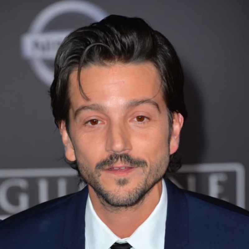 Diego Luna Mexican Style Mustache