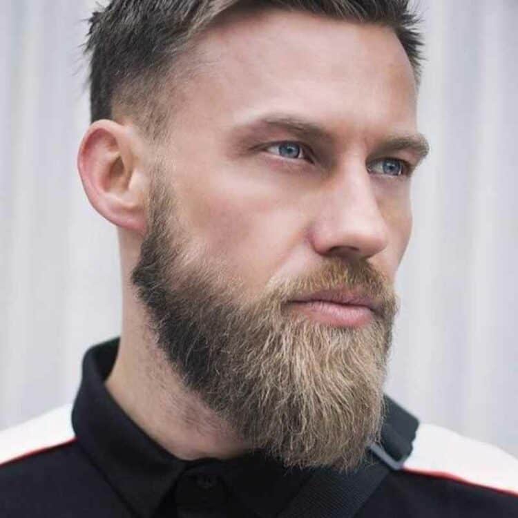 ducktail beard