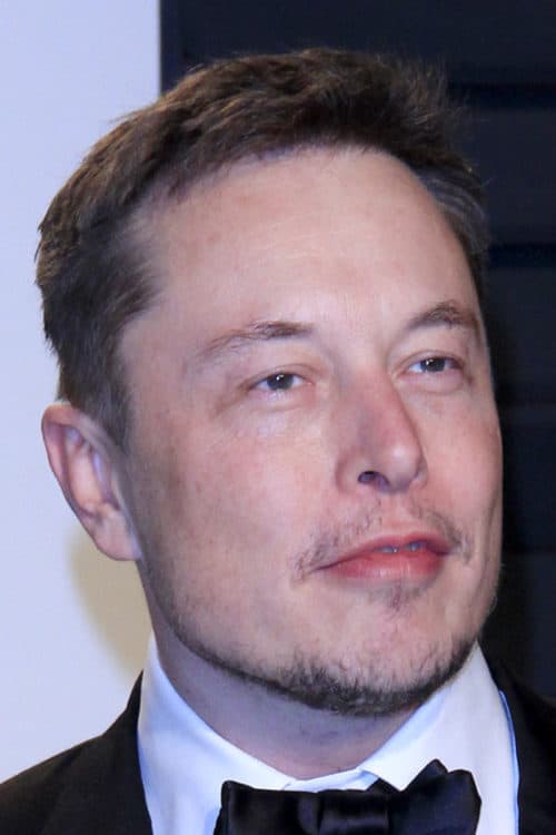 Elon Musk after hair restoration.