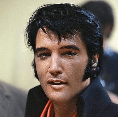 Elvis Presley Triangle Sideburns