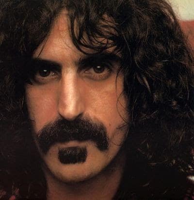 Frank Zappa's Soul Patch and mustache.