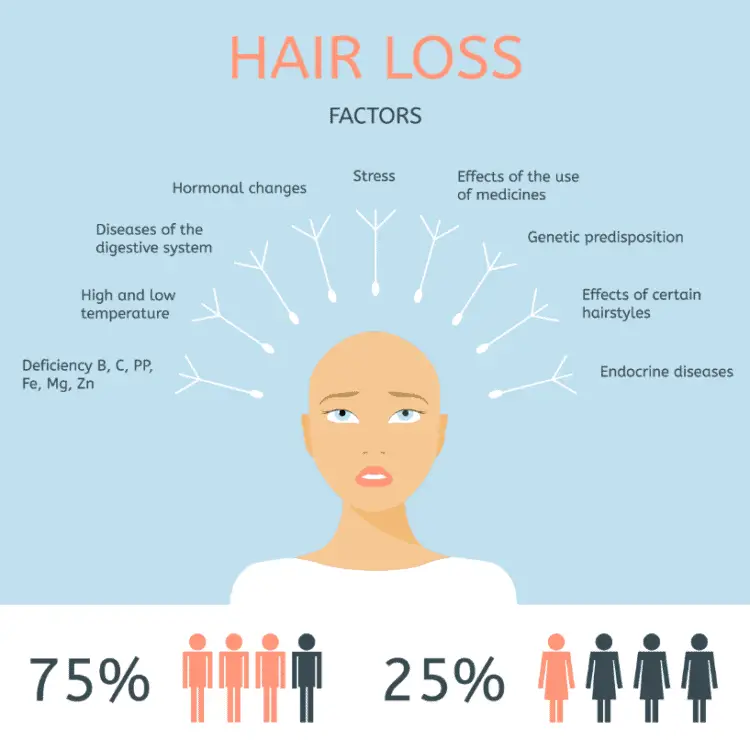 Hair Loss Factors Diagram