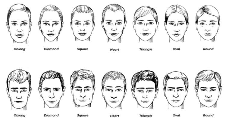 Different head shapes for men and women.