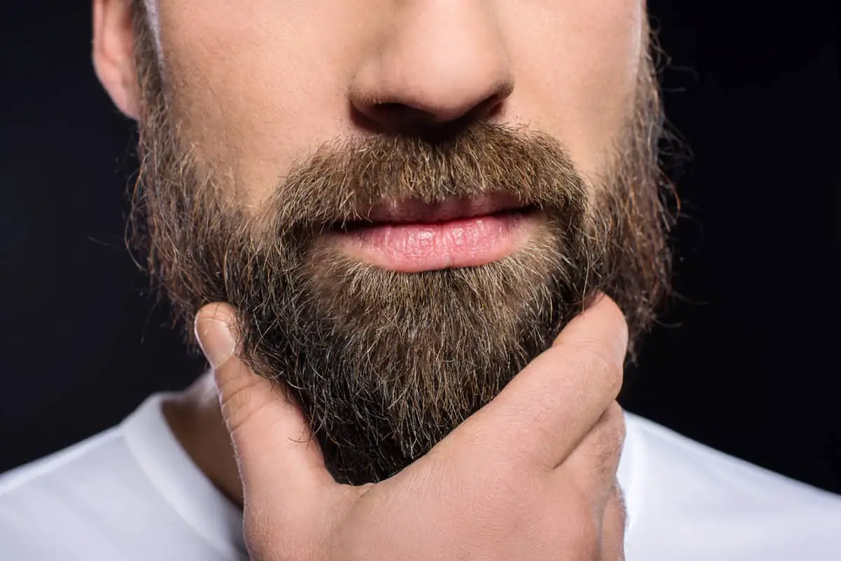 How To Soften Your Beard 6 Step by step Guide Bald Beards