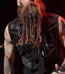 Long beard dreads