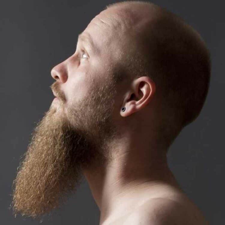 long goatee