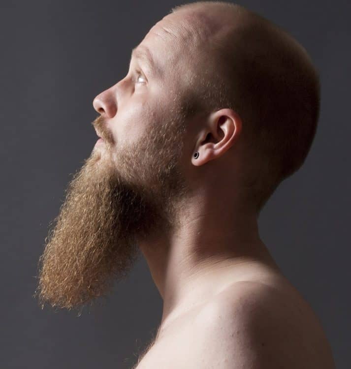 Long Chin Beard