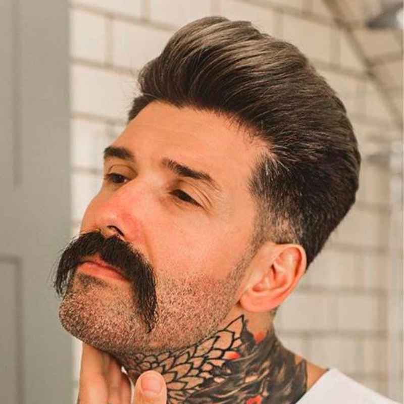 Mexican Horseshoe Mustache