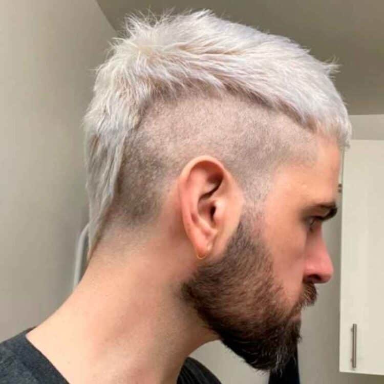 Mullet Gray Hair Fade