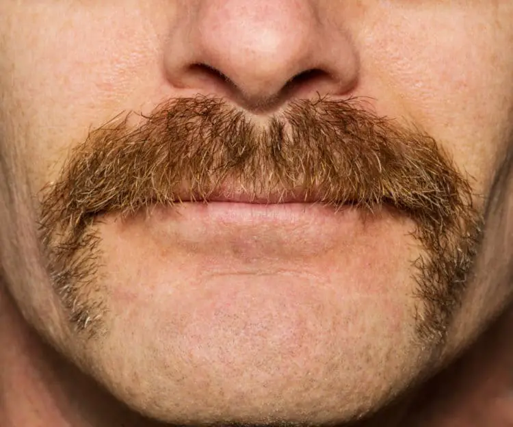 Finding your facial hair type is a bit of an art.