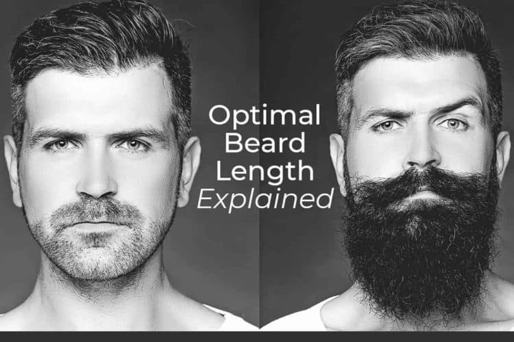 The Best Beard Length For Your Look Bald And Beards 