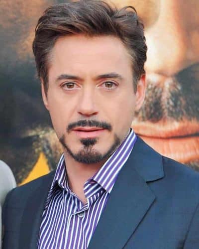 The Tony Stark goatee has a perfect hourglass style on the chin.