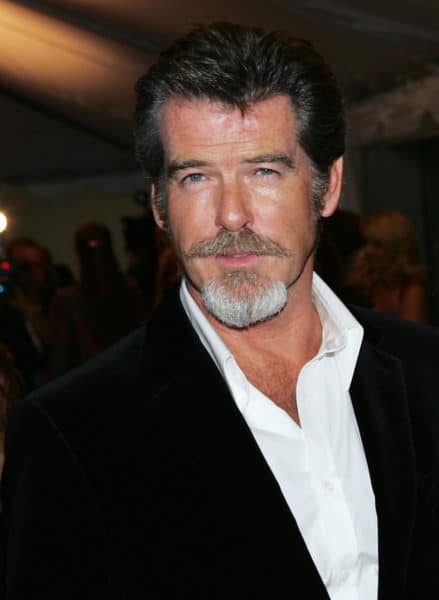 Pierce Brosnan's salt and pepper goatee