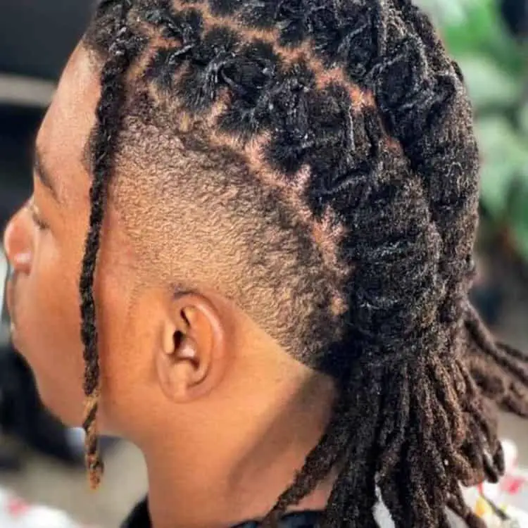 Shadow Fade With Dreads
