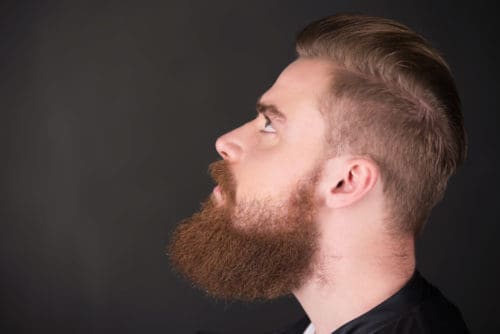 Long Beards with Short Hairstyles