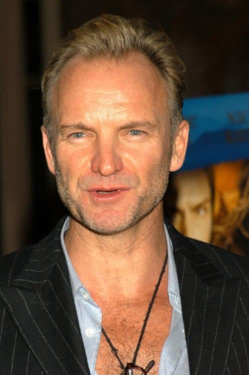 Sting's showing his M-shaped receding hairline with longer hair.