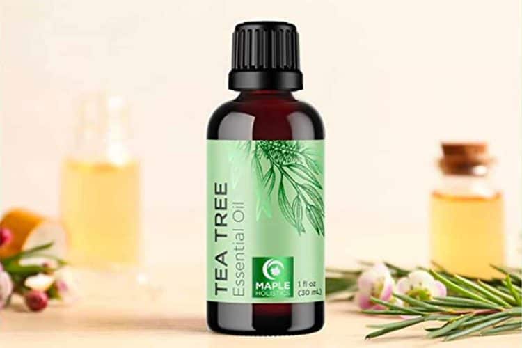 Tea Tree Essential Oil