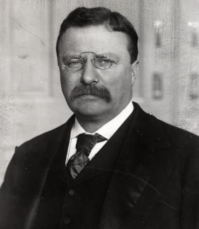 Teddy Roosevelt Walrus Mustache