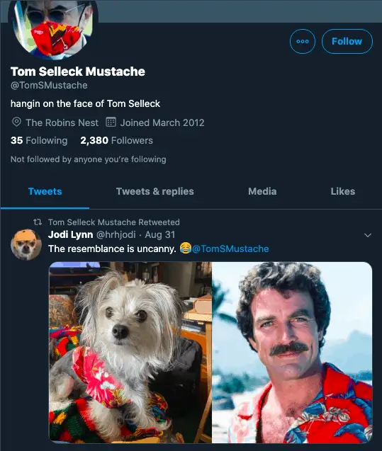 Tom Selleck mustache love Tom Selleck mustache