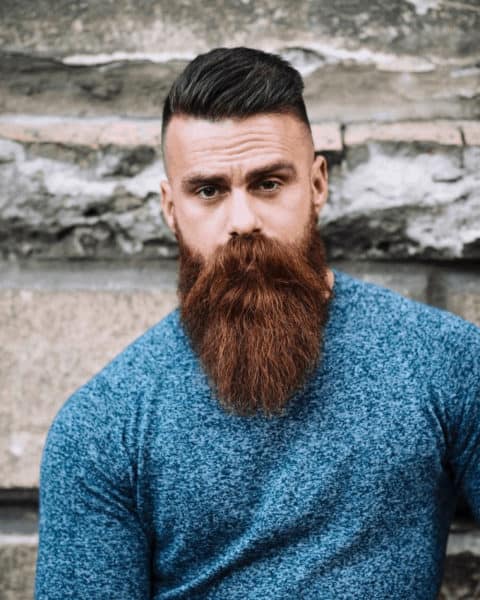 Long Hipster Beard