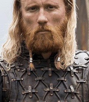 Viking braids with short beard