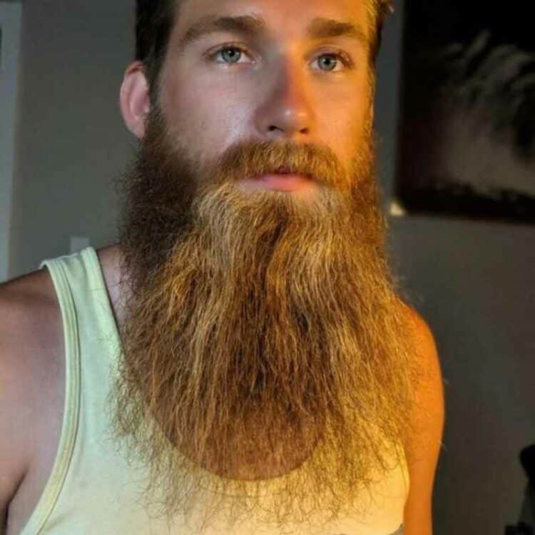 yeard beard